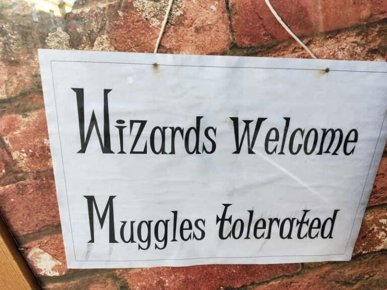 Harry Potter Tour New College Entry Only Included - Who Will Love This Tour?