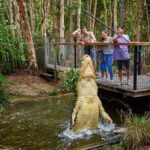 Hartley Crocodile Park with Kuranda, Skyrail Cableway and Train - Final Thoughts: Is It Worth It?
