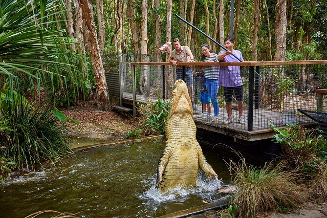 Hartley Crocodile Park with Kuranda, Skyrail Cableway and Train - Final Thoughts: Is It Worth It?