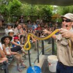 Hartley's Crocodile Adventures Day Trip from Palm Cove - The Sum Up