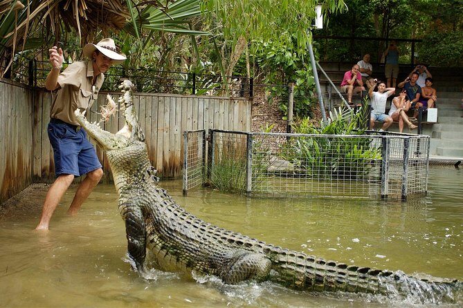Hartleys Crocodile Adventures Half-Day Tour from Cairns - In-Depth Review of Hartleys Crocodile Adventures Tour