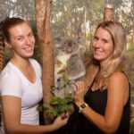 Hartley's Crocodile Adventures: Hartley's Koala Breakfast - Final Thoughts: Is It Worth It?