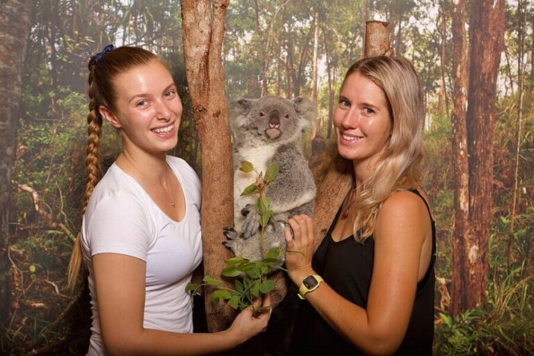 Hartley's Crocodile Adventures: Hartley's Koala Breakfast - Final Thoughts: Is It Worth It?