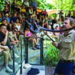 Hartley's Crocodile Adventures Park Entry - Authentic Insights from Visitors