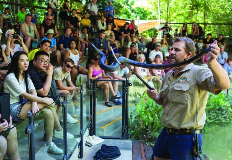 Hartley's Crocodile Adventures Park Entry - Authentic Insights from Visitors