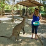 Hartley's Crocodile Adventures: Zootastic 5 + Entry Ticket - Final Thoughts