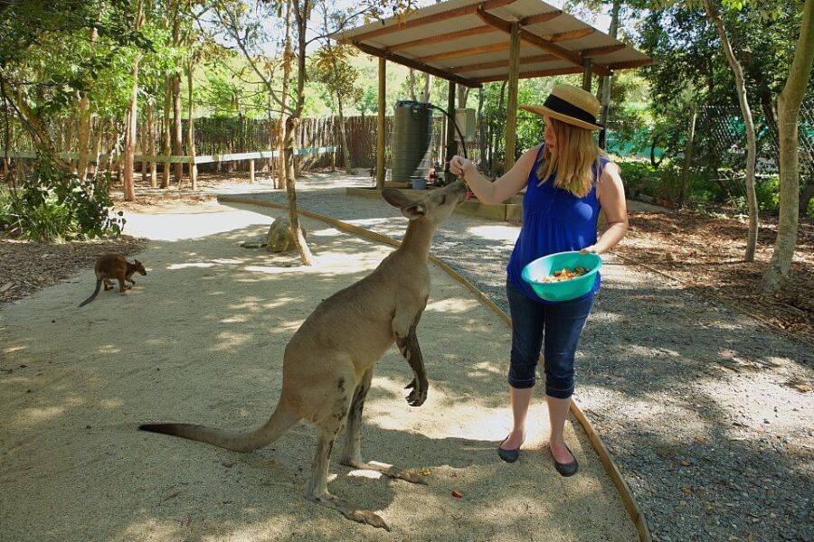 Hartley's Crocodile Adventures: Zootastic 5 + Entry Ticket - Final Thoughts