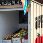 Hastings Caves, Tahune Airwalk and the Huon Tasting Trail - Why Travelers Love This Tour