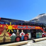 Haugesund: 1-Day Hop-On Hop-Off Sightseeing Bus GrayLine - Detailed Breakdown of the Itinerary
