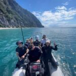 Hauraki Gulf: Hammerhead Experience Dive Charter - A Closer Look at the Hauraki Gulf Dive Experience