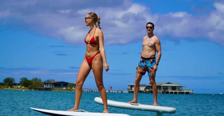 Hawaii: Electric Hydrofoil Surfing Group Lesson - A Deep Dive into the eFoil Waikiki Experience