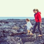 Hawaii Island Private Tour: Majestic Circle Island Adventure - What We Like and What to Consider