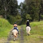 Hawaii: Small Group Rainforest Trail Ride - An In-Depth Look at the Rainforest Trail Ride