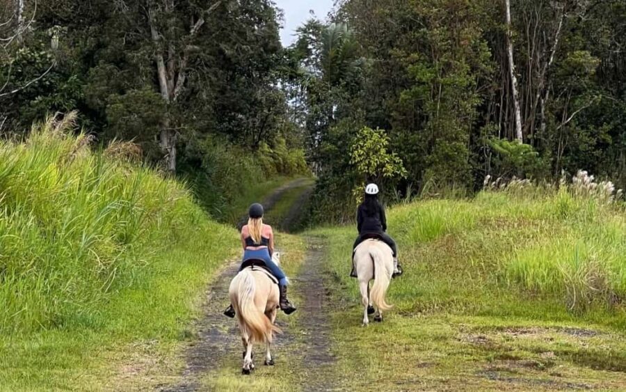 Hawaii: Small Group Rainforest Trail Ride - An In-Depth Look at the Rainforest Trail Ride