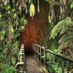 Hawaii Volcanoes National Park Experience from Kauai - The Itinerary Breakdown