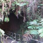 Hawaii Volcanoes National Park Experience From the Big Island - Practical Details and Tips for Making the Most of This Tour