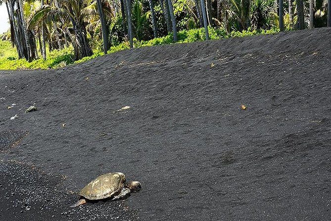 Hawaii Volcanoes National Park Experience from the Big Island - Exploring the Big Island’s Wonders: A Detailed Review