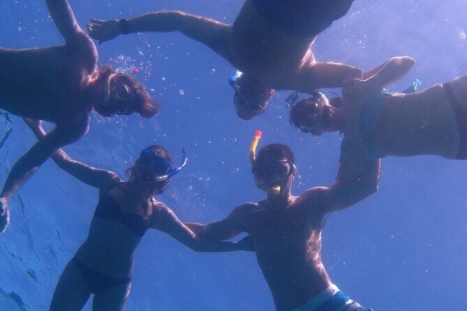 Hawaiian Canoe Sailing Experience in Maui - A Thorough Look at the Maui Canoe Sailing Experience