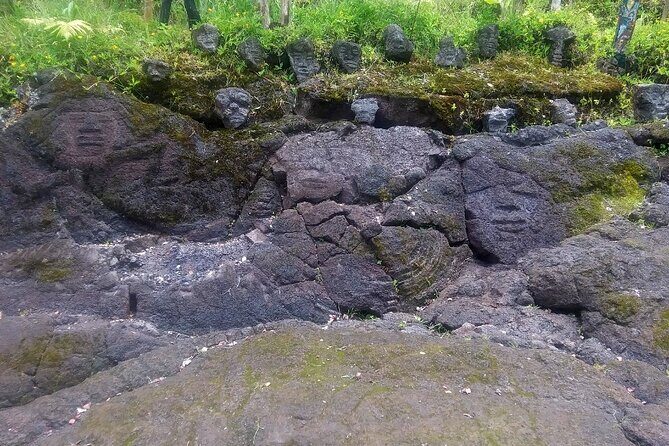 Hawaiian Ohia Tea and Tikis - Who Will Love This Tour?