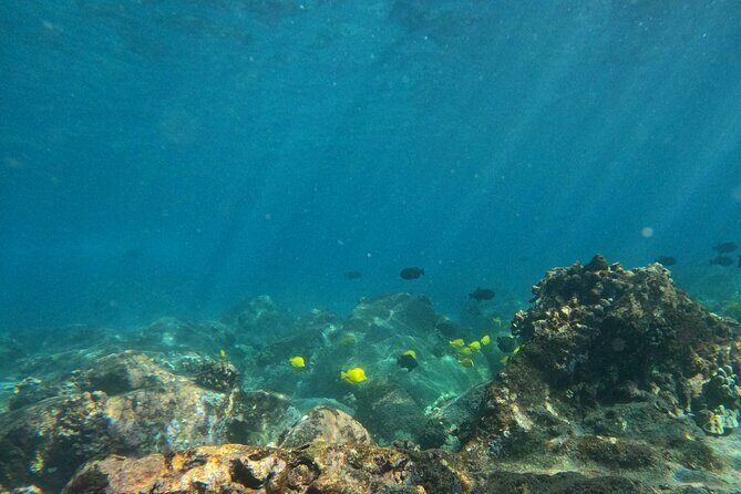 Hawaiian Sail and Snorkel in Kailua-Kona, Hawaii - The Sum Up: An Authentic and Educational Ocean Escape