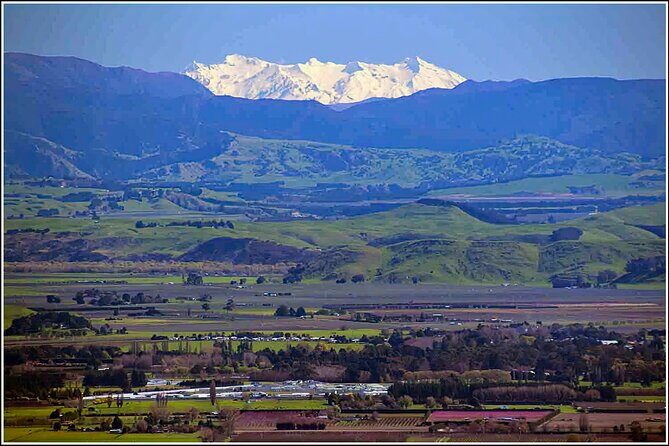 Hawkes Bay - Scenic, luncheon, wine Tour - Practicalities and Value