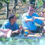 Hawkes Bay Wineries Self-Guided Bike Tour - Exploring the Hawkes Bay Wineries Self-Guided Bike Tour in Detail