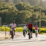 Healdsburg: Guided Electric Bike Wine Tour with Winery Stops - Who Will Appreciate This Tour?