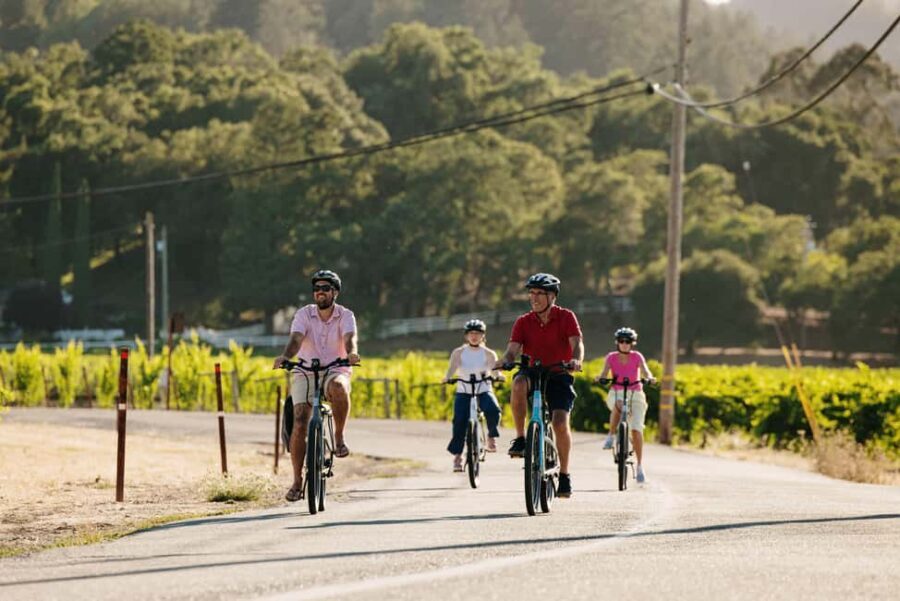 Healdsburg: Guided Electric Bike Wine Tour with Winery Stops