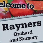 Healesville Sanctuary and Rayners Orchard Tour from Melbourne - Practical Details and Tips