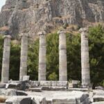 Heart of Aegean: Private Priene - Miletus - Didyma Tour - Who Should Consider This Tour?