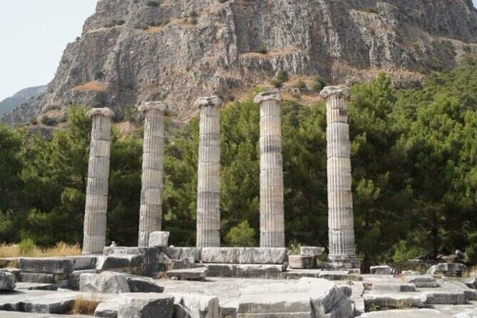 Heart of Aegean: Private Priene - Miletus - Didyma Tour - Who Should Consider This Tour?