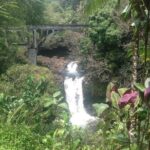 Heavenly Hamakua: From Kona - FAQ
