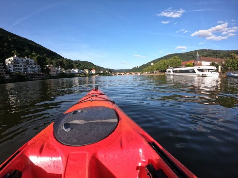 Heidelberg: 2-Hour Kayak Tour - What You’ll See During the Tour