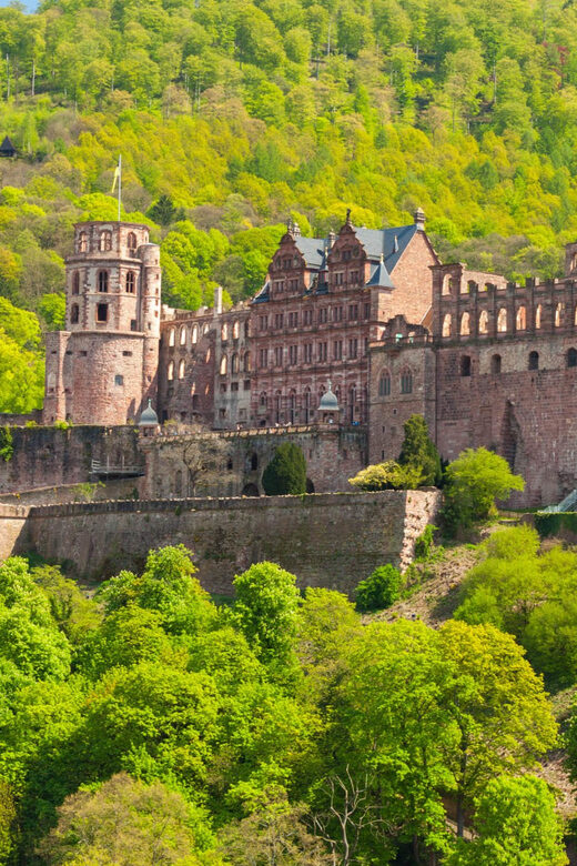 Heidelberg and Rhine Combination Tour from Frankfurt - A Deep Dive into the Experience