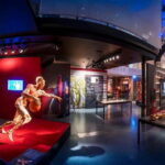 Heidelberg: BODY WORLDS Museum Entry Ticket - Who Is This Tour Best For?