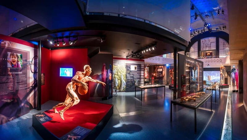 Heidelberg: BODY WORLDS Museum Entry Ticket - Who Is This Tour Best For?
