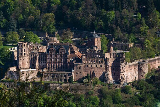 Heidelberg Castle and City Day Tour from Frankfurt - A Close Look at the Heidelberg Day Trip