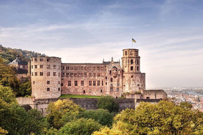 Heidelberg Castle and Old Town Tour from Frankfurt - In-Depth Review of the Heidelberg Castle and Old Town Tour