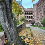 Heidelberg: Discover Heidelberg Castle - experience history up close - A Thorough Look at the Heidelberg Castle Tour