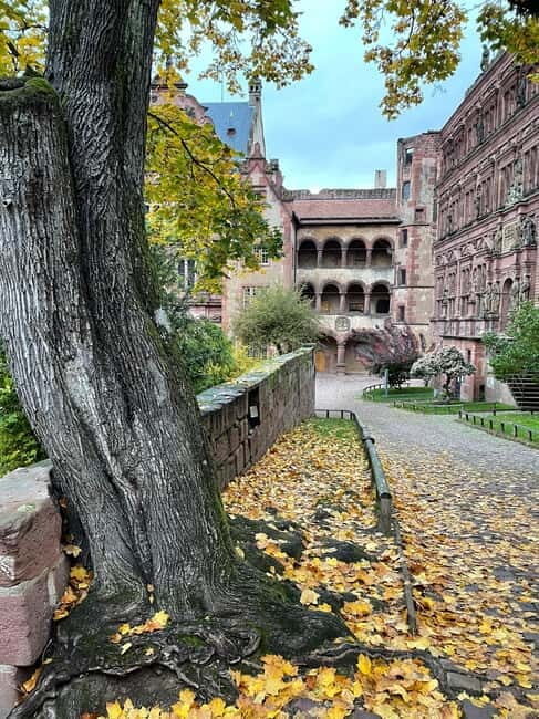 Heidelberg: Discover Heidelberg Castle - experience history up close - A Thorough Look at the Heidelberg Castle Tour