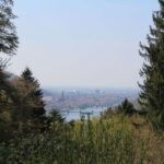 Heidelberg Highlights Segway Tour with Castle - The Experience and Guides
