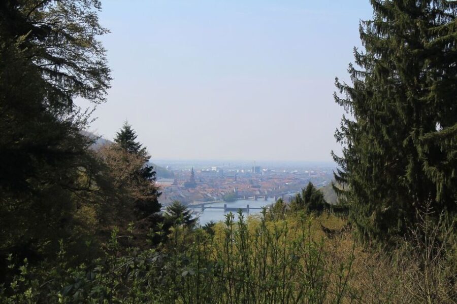 Heidelberg Highlights Segway Tour with Castle - The Experience and Guides