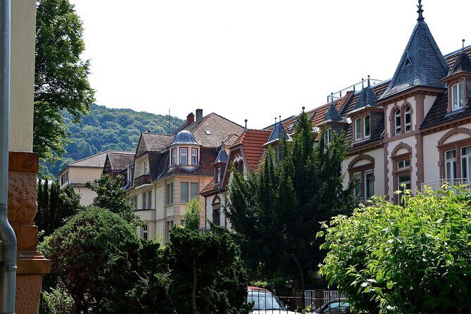 Heidelberg Old Town Private Walking Tour including Castle Visit - Final Thoughts: Who Should Book This Tour?