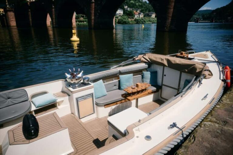 Heidelberg: Private boat trip with captain, 1.5 hours, up to 12 guests, from $40 per person - Final Thoughts: Is It Worth It?