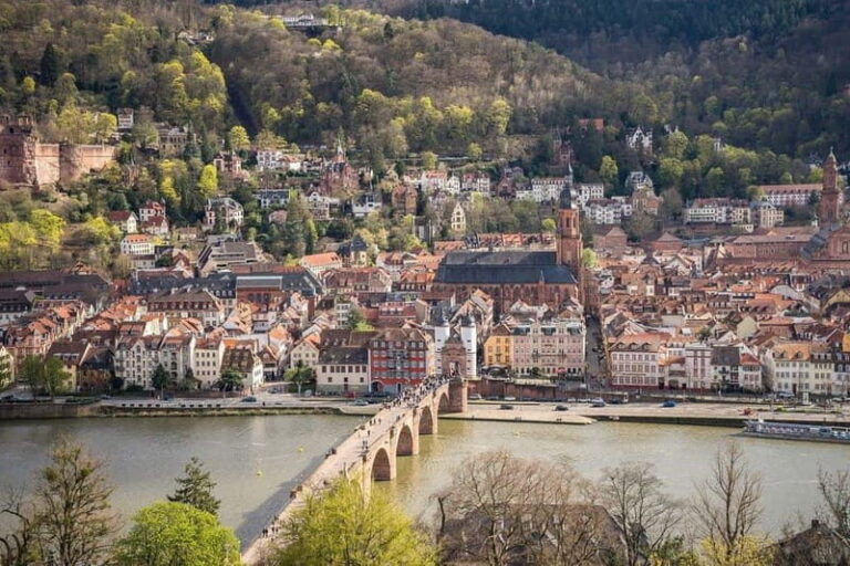 Heidelberg: Private Day Trip with Castle, Cruise & Beer - Who Will Love This Tour?