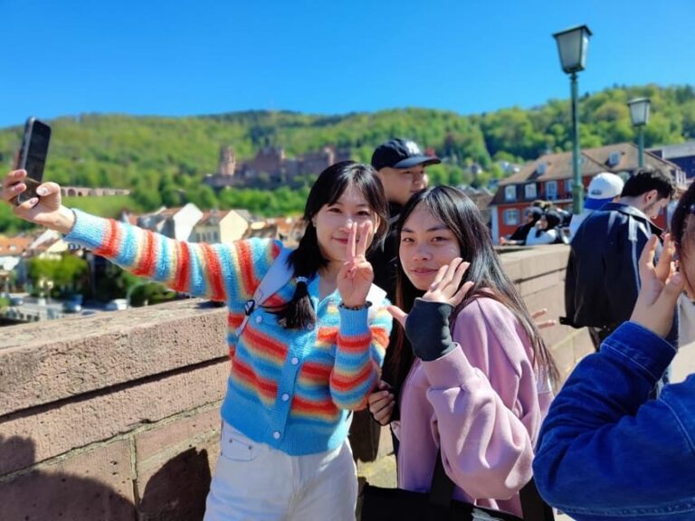 Heidelberg: Private Walking Tour with Local Guide - FAQs