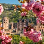 Heidelberg: Sightseeing Bus and Castle Tour - Why Choose This Tour?