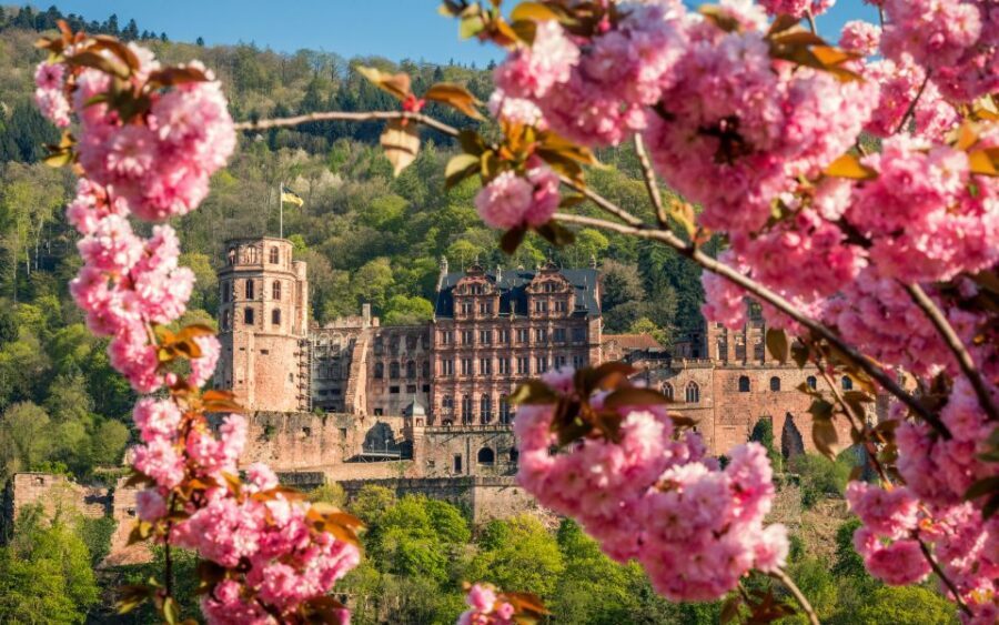 Heidelberg: Sightseeing Bus and Castle Tour - Why Choose This Tour?