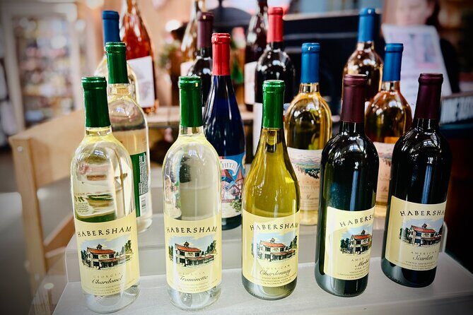 Helen N. Georgia Private Winery Tour, Dine and Shop from Atlanta - A Closer Look at the Tour Itinerary
