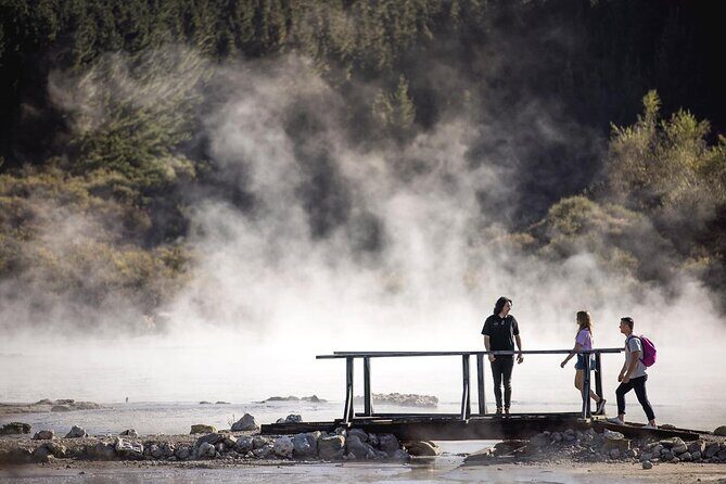 Hell's Gate Mud Spa & Thermal Park Group Day Tour from Auckland